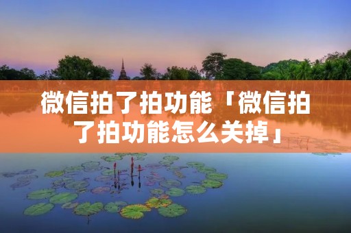 微信拍了拍功能「微信拍了拍功能怎么关掉」