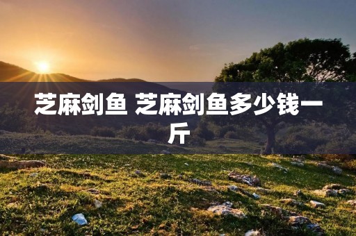 芝麻剑鱼 芝麻剑鱼多少钱一斤