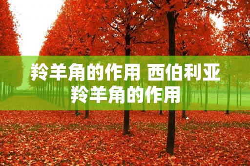 羚羊角的作用 西伯利亚羚羊角的作用