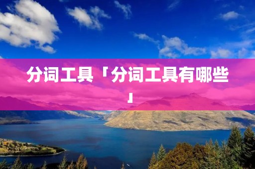 分词工具「分词工具有哪些」