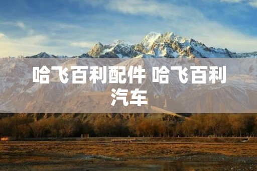 哈飞百利配件 哈飞百利汽车