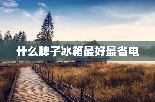 什么牌子冰箱最好最省电