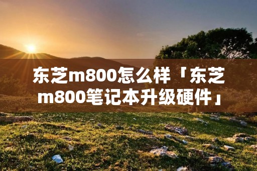 东芝m800怎么样「东芝m800笔记本升级硬件」 东芝m800怎么样「东芝m800笔记本升级硬件」
