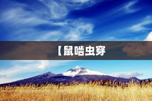 【鼠啮虫穿:探索自然界中的生存之道】