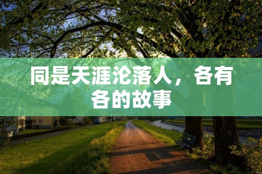 同是天涯沦落人,各有各的故事
