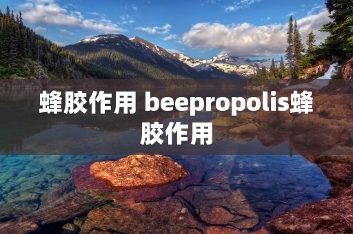 蜂胶作用 beepropolis蜂胶作用
