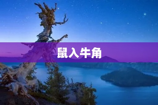 鼠入牛角:揭秘古老的传统医学与现代科学的奇妙融合