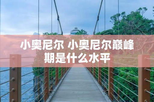 小奥尼尔 小奥尼尔巅峰期是什么水平 小奥尼尔 小奥尼尔巅峰期是什么水平