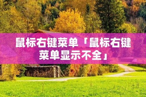 鼠标右键菜单「鼠标右键菜单显示不全」 鼠标右键菜单「鼠标右键菜单显示不全」
