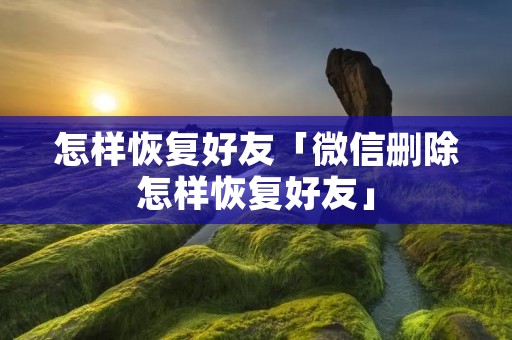 怎样恢复好友「微信删除怎样恢复好友」