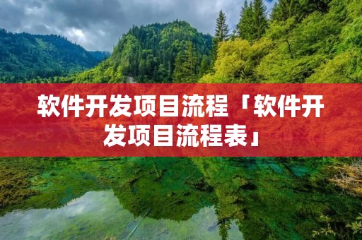 软件开发项目流程「软件开发项目流程表」
