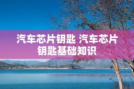 汽车芯片钥匙 汽车芯片钥匙基础知识 汽车芯片钥匙 汽车芯片钥匙基础知识