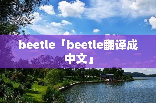 beetle「beetle翻译成中文」