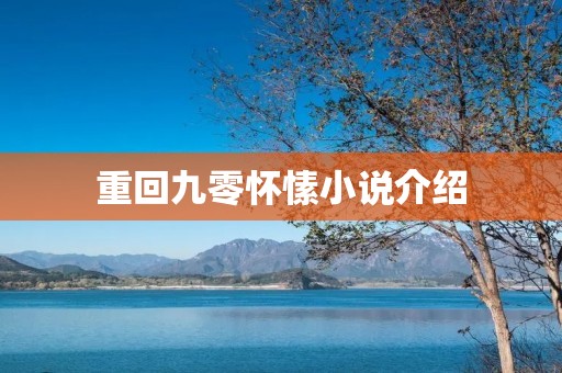 重回九零怀愫小说介绍