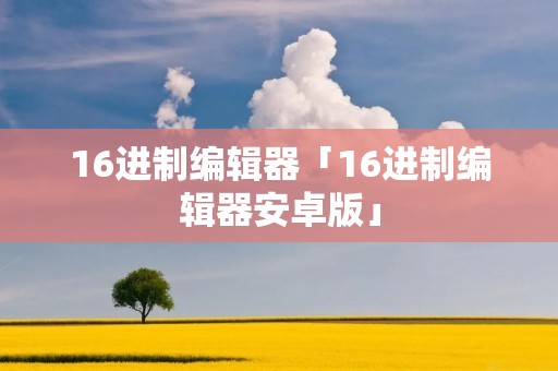 16进制编辑器「16进制编辑器安卓版」 16进制编辑器「16进制编辑器安卓版」