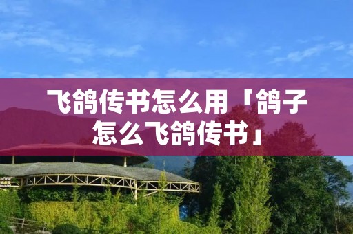 飞鸽传书怎么用「鸽子怎么飞鸽传书」