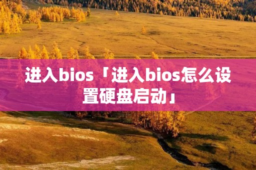 进入bios「进入bios怎么设置硬盘启动」