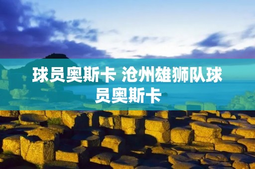 球员奥斯卡 沧州雄狮队球员奥斯卡