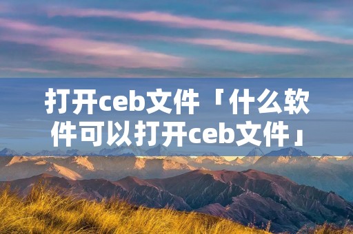 打开ceb文件「什么软件可以打开ceb文件」