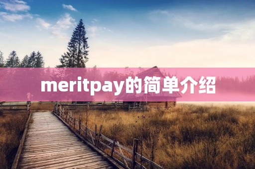 meritpay的简单介绍 meritpay的简单介绍
