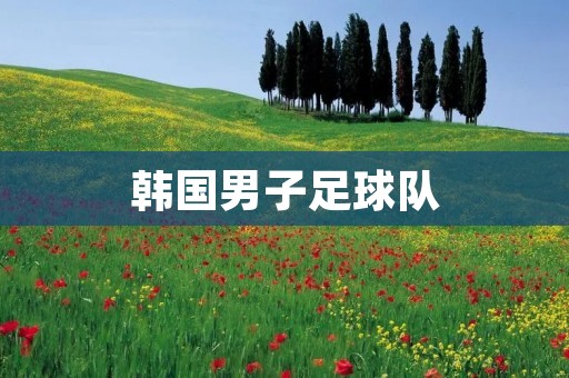 韩国男子足球队：亚洲足坛的辉煌之师