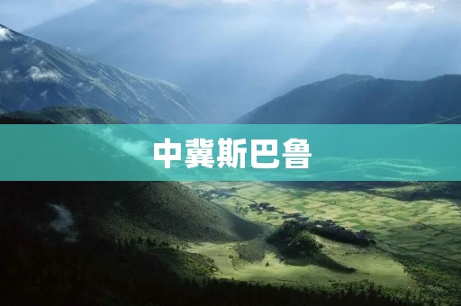 中冀斯巴鲁:领先科技与优雅设计的完美结合 中冀斯巴鲁:领先科技与优雅设计的完美结合