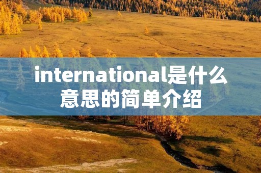 international是什么意思的简单介绍