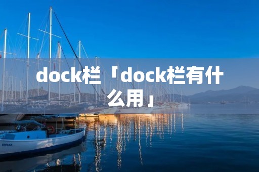 dock栏「dock栏有什么用」