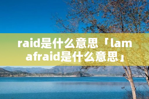 raid是什么意思「lamafraid是什么意思」