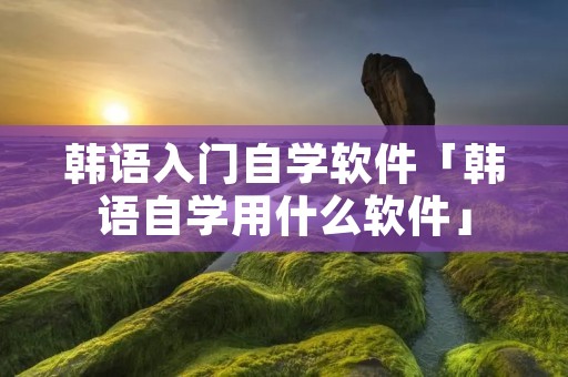 韩语入门自学软件「韩语自学用什么软件」