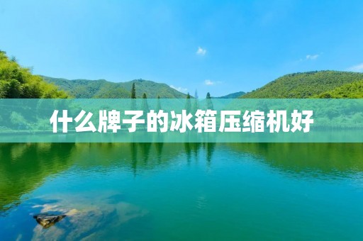 什么牌子的冰箱压缩机好：如何选择适合自己的冰箱压缩机