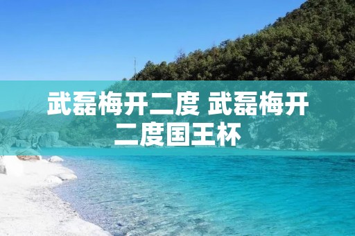 武磊梅开二度 武磊梅开二度国王杯 武磊梅开二度 武磊梅开二度国王杯