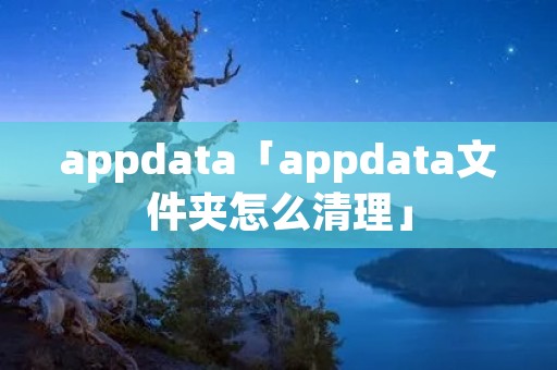 appdata「appdata文件夹怎么清理」