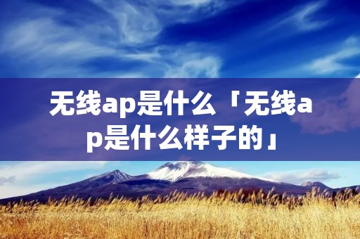 无线ap是什么「无线ap是什么样子的」