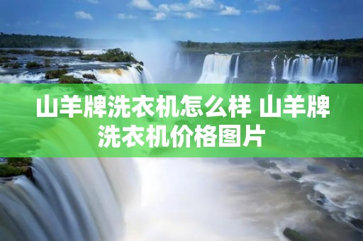 山羊牌洗衣机怎么样 山羊牌洗衣机价格图片 山羊牌洗衣机怎么样 山羊牌洗衣机价格图片