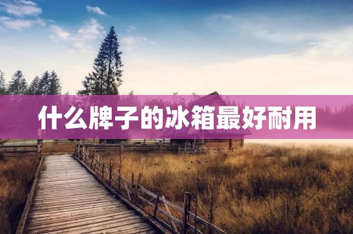 什么牌子的冰箱最好耐用 什么牌子的冰箱最好耐用