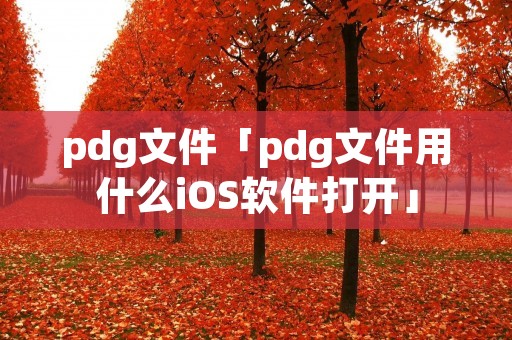 pdg文件「pdg文件用什么iOS软件打开」 pdg文件「pdg文件用什么iOS软件打开」