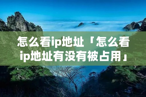 怎么看ip地址「怎么看ip地址有没有被占用」