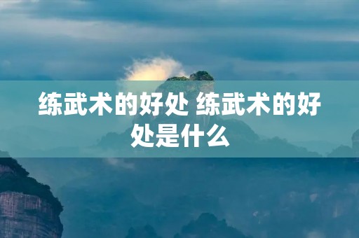 练武术的好处 练武术的好处是什么