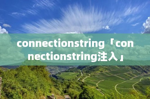 connectionstring「connectionstring注入」 connectionstring「connectionstring注入」