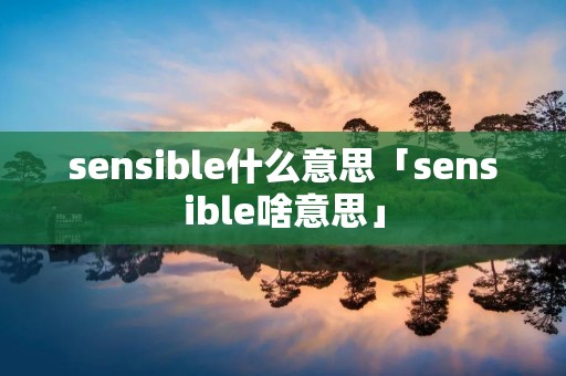 sensible什么意思「sensible啥意思」 sensible什么意思「sensible啥意思」