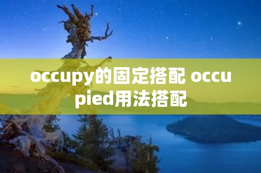 occupy的固定搭配 occupied用法搭配