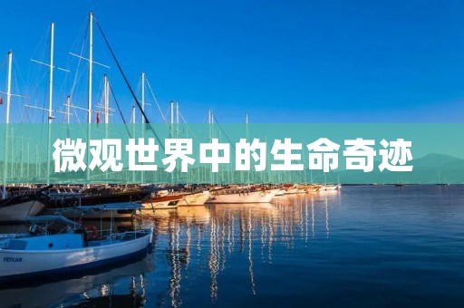 微观世界中的生命奇迹：细菌的多样性与重要性