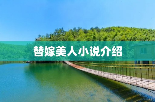 替嫁美人小说介绍