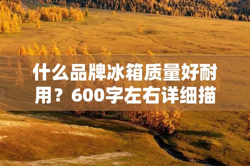 什么品牌冰箱质量好耐用？600字左右详细描述：