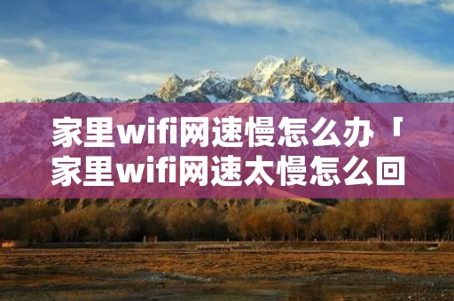 家里wifi网速慢怎么办「家里wifi网速太慢怎么回事」