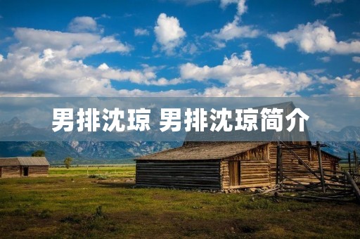 男排沈琼 男排沈琼简介