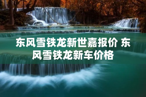 东风雪铁龙新世嘉报价 东风雪铁龙新车价格 东风雪铁龙新世嘉报价 东风雪铁龙新车价格
