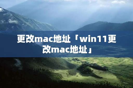 更改mac地址「win11更改mac地址」
