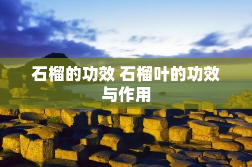 石榴的功效 石榴叶的功效与作用